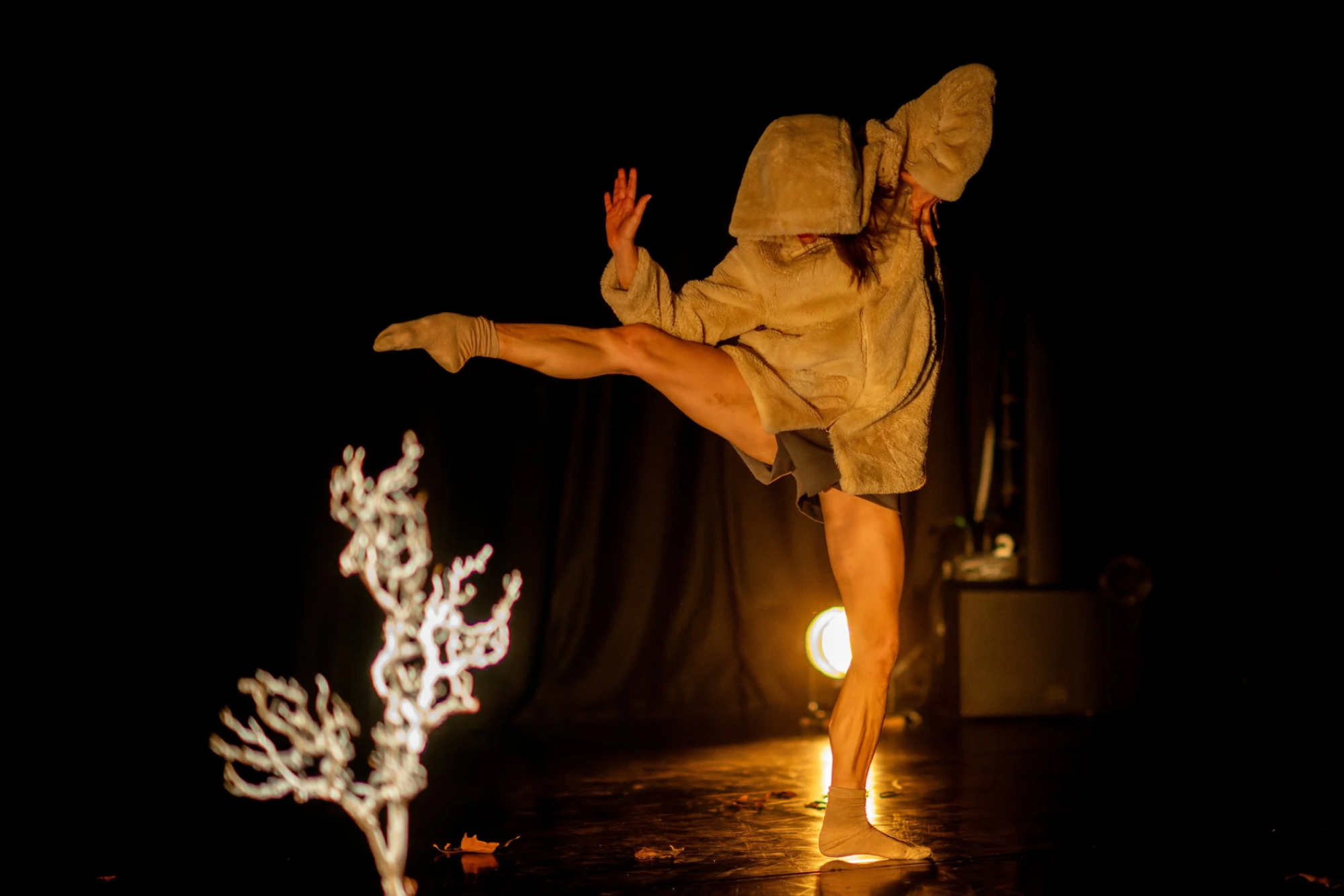 MIRADOR with Cristiana Casadio